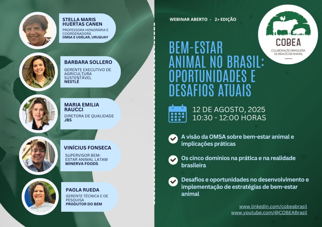 bem-estar animal