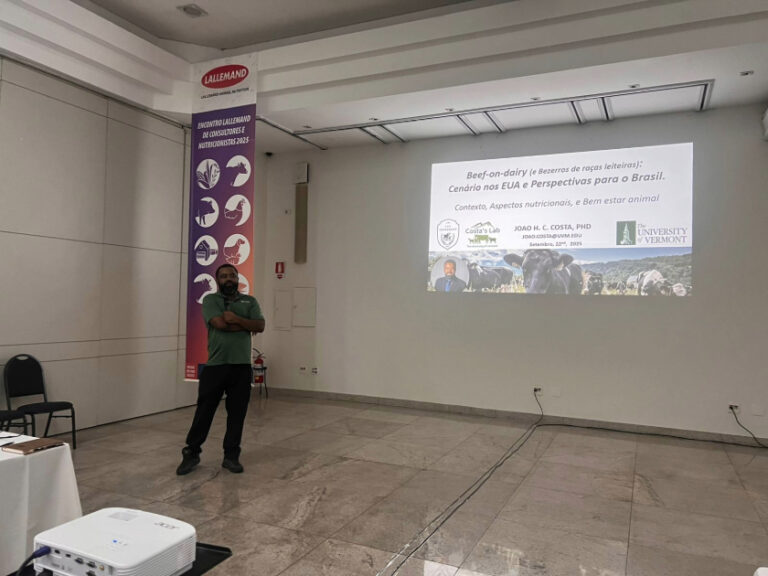 A revolução do Beef on Dairy e os desafios para o Brasil