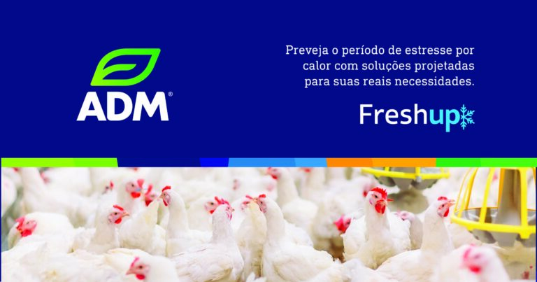 Estresse Calórico na Avicultura: Estratégias Nutricionais para Mitigar Impactos