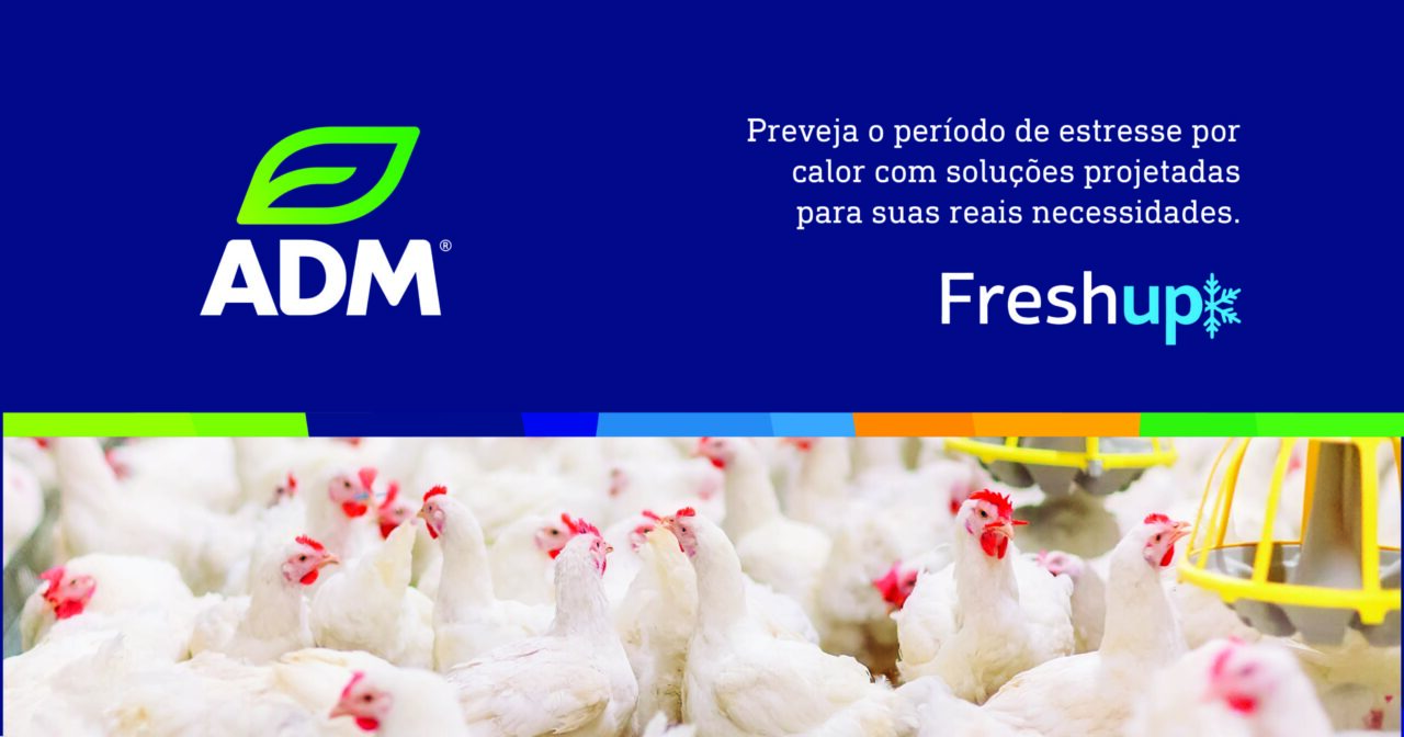 Estresse Calórico na Avicultura