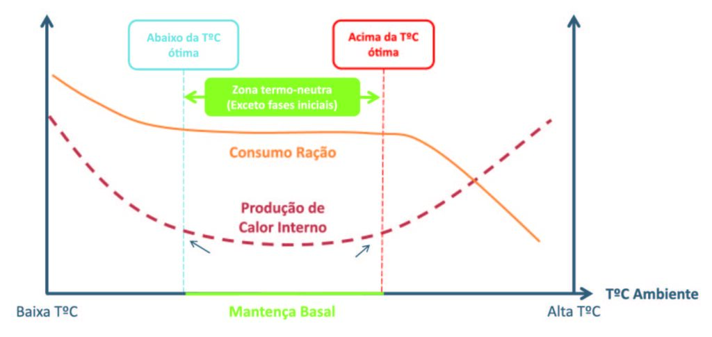 Estresse Calórico na Avicultura