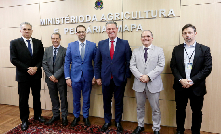Governo,MP