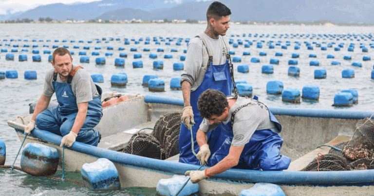 Produção aquícola em Águas da União cresce 20% em 2024, aponta Boletim da Aquicultura