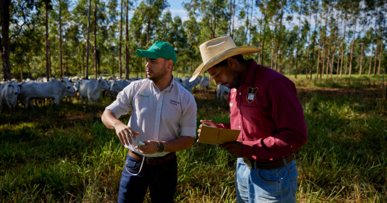 Minerva Foods aumenta foco e direcionamento corporativo em bem-estar animal