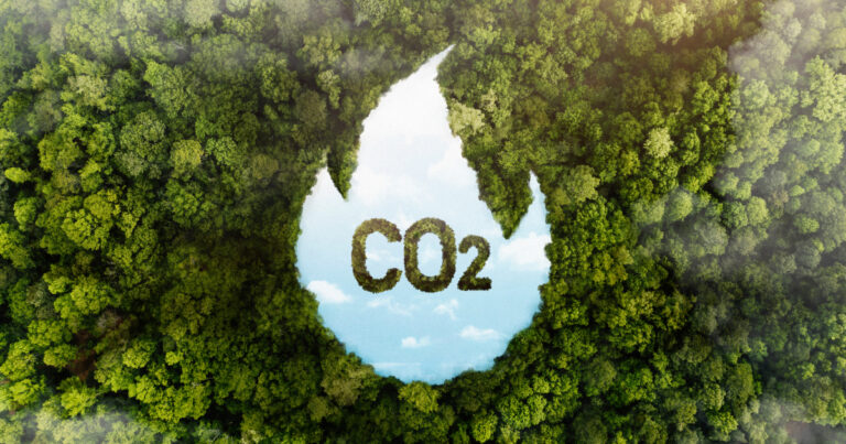 Brasil propõe integração mundial dos mercados de carbono na COP30