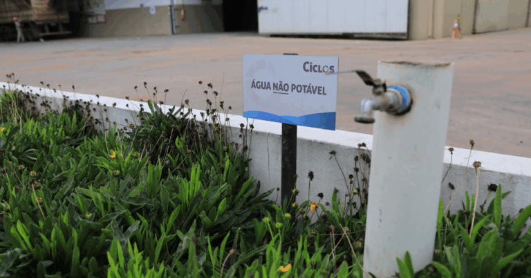 Programa Ciclos, do Grupo Real, é selecionado para apresentação na COP 30