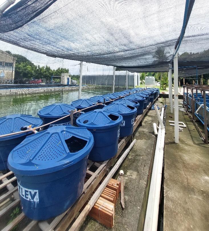 aquicultura
