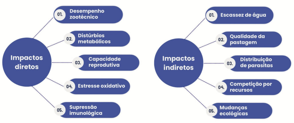 bovinocultura,bovinos de corte,altas temperaturas,estresse térmico