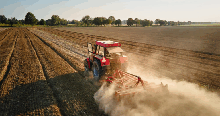 Agronegócio impulsiona arrecadação e supera orçamento do Bolsa Família