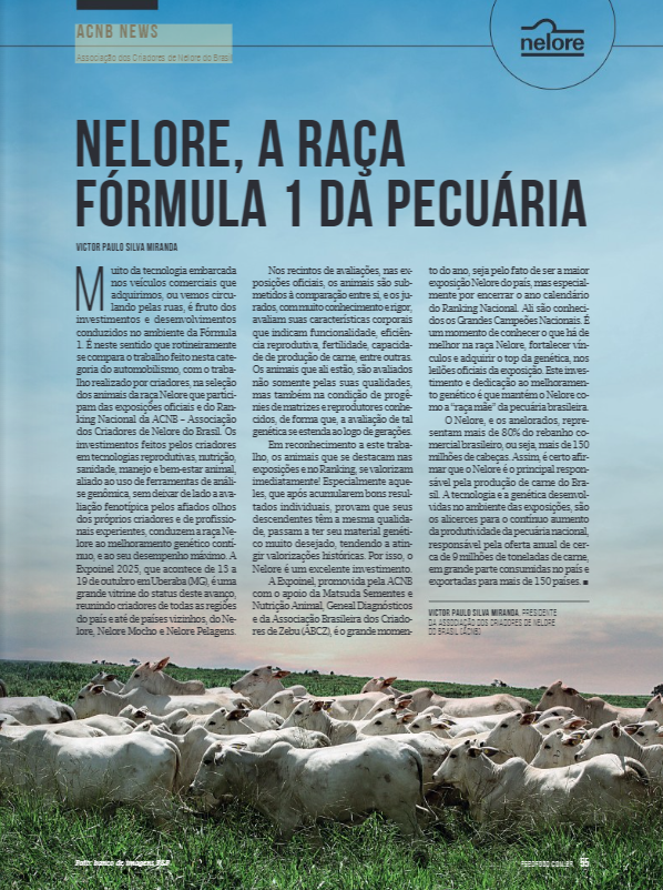 Nelore