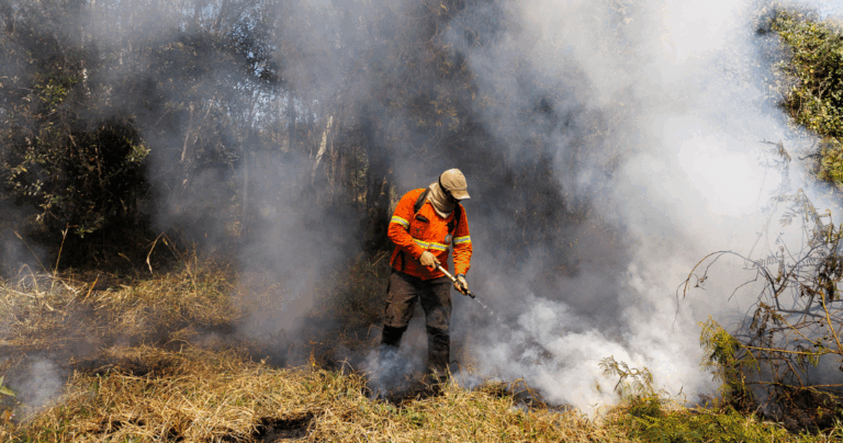 Onçafari amplia ações contra incêndios no Pantanal com apoio da ADM