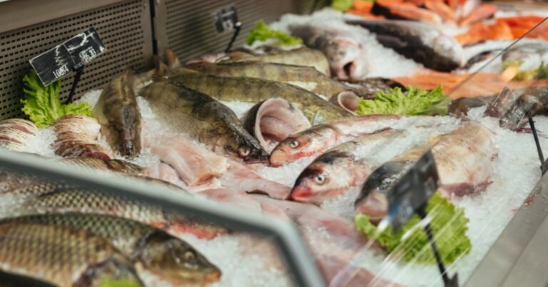 Alta no preço da carne bovina impulsiona consumo de peixes no país