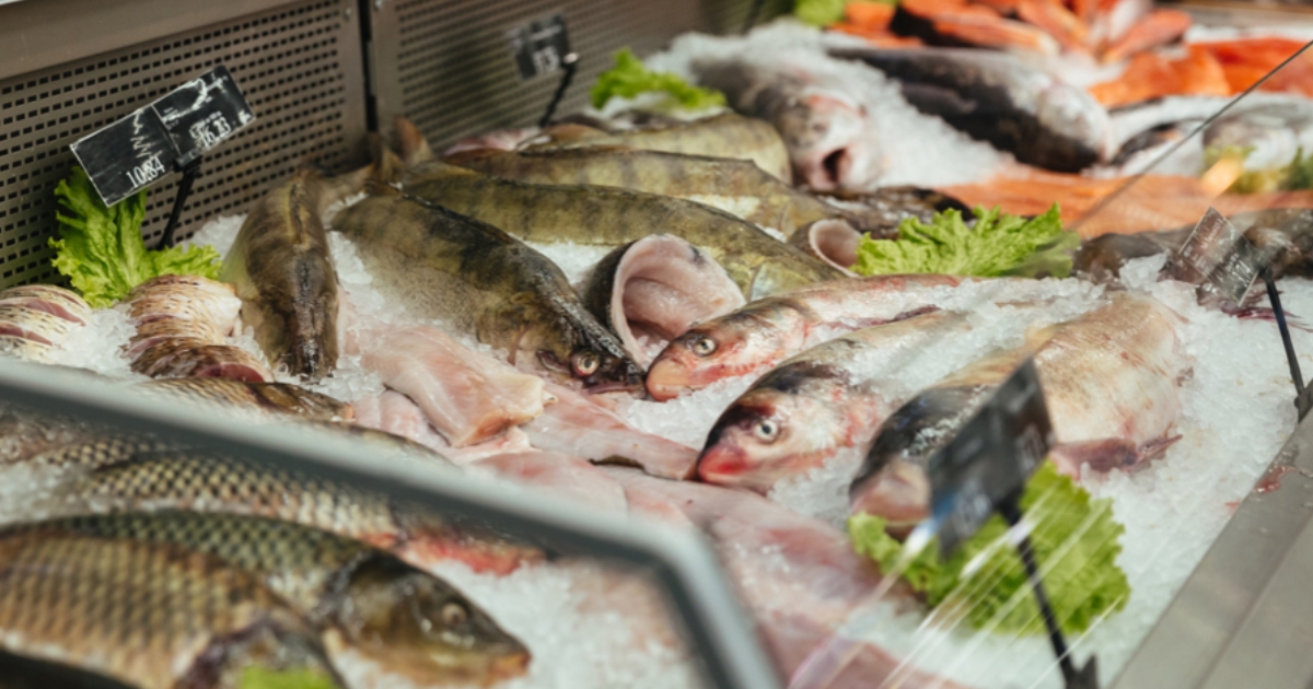 consumo de peixes
