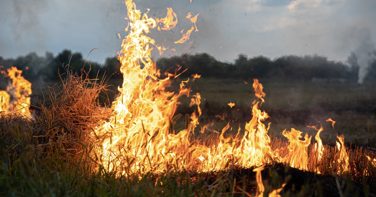 Incêndios Rurais