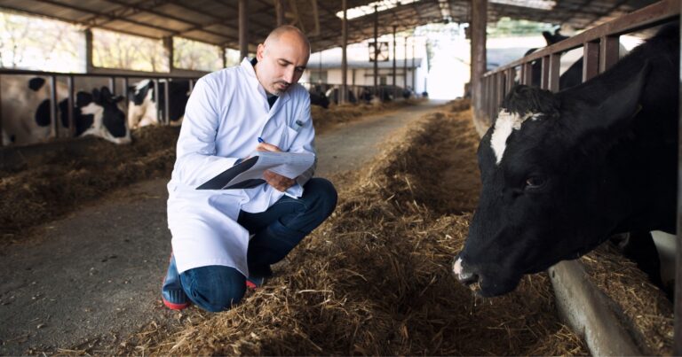 Ourofino cresce 26,2% e amplia presença no mercado de saúde animal no 3º trimestre