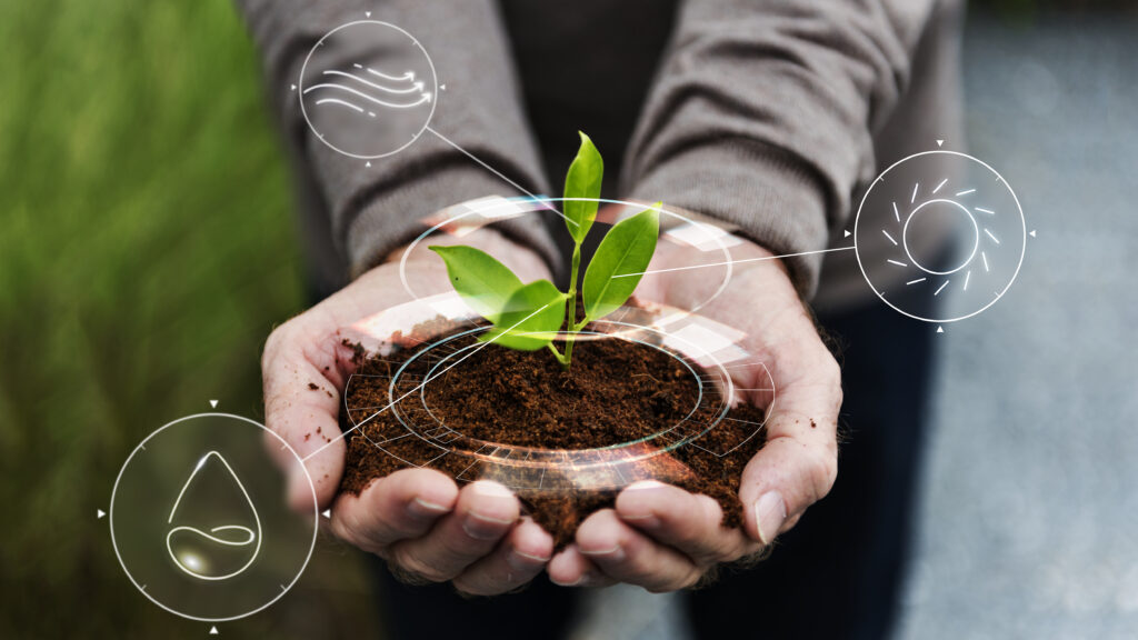 agricultura regenerativa,sustentabilidade,Certifica Minas