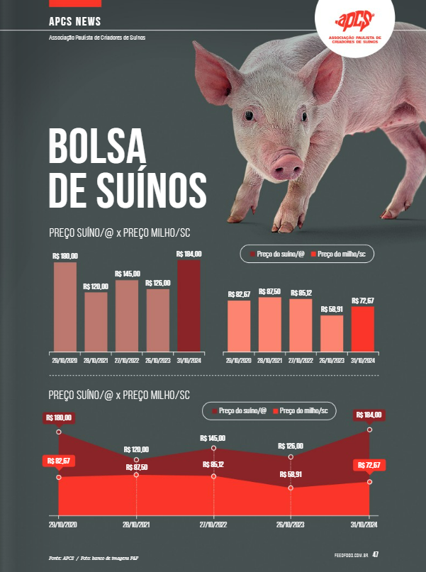 suinocultura,mercado,produtores