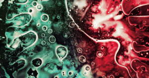 Artigo completo – DA (BIO)FÁBRICA AO CAMPO