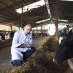 WNTC 2026: FCE Pharma e Abiquifi debatem inovação e futuro do setor de cannabis medicinal no país