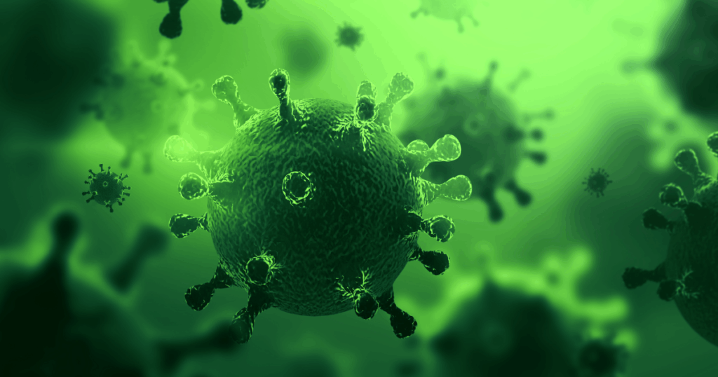Avicultura,Doença de Newscastle,Influenza Aviária