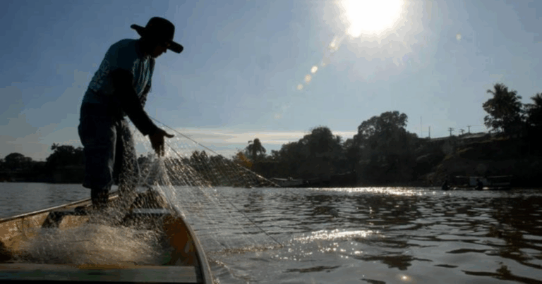  Começa o Defeso da Piracema no Estado de São Paulo