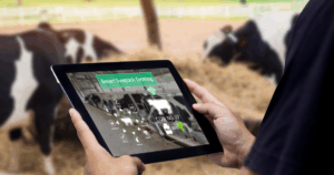 Rastreabilidade bovina: erros antigos disfarçados de soluções ambientais