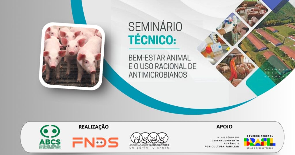 bem-estar animal na suinocultura