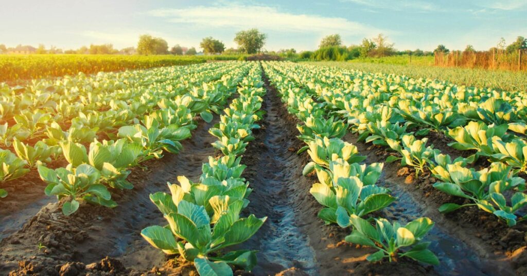 Reforma Tributária no agronegócio