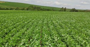 Reforma Tributária e os impactos no agro do Sudeste são tema de evento da Faesp e CNA