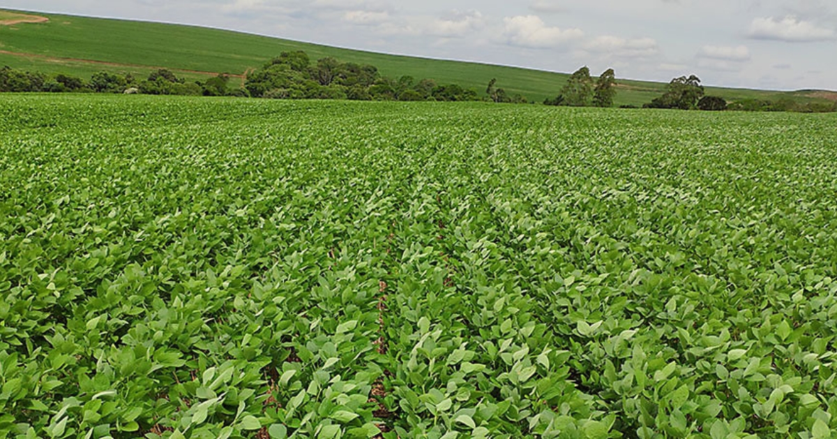 Reforma Tributária no agronegócio