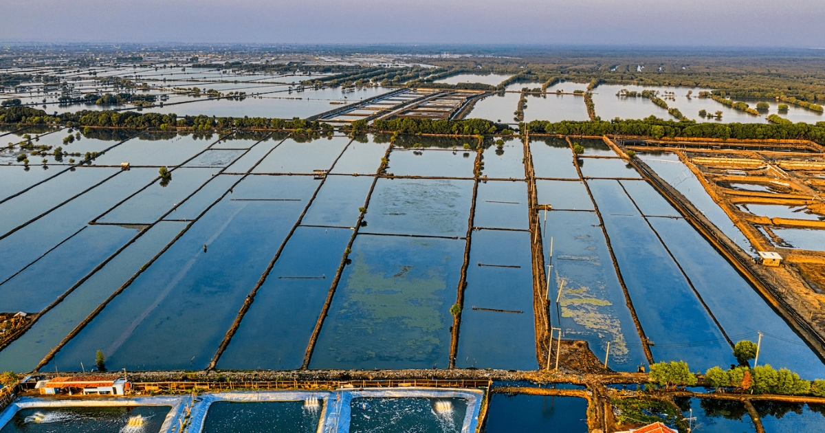 aquicultura brasileira