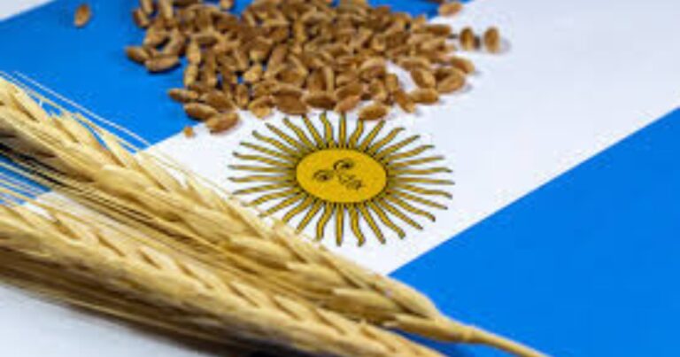 Agroindústria argentina registra forte crescimento nas exportações em novembro