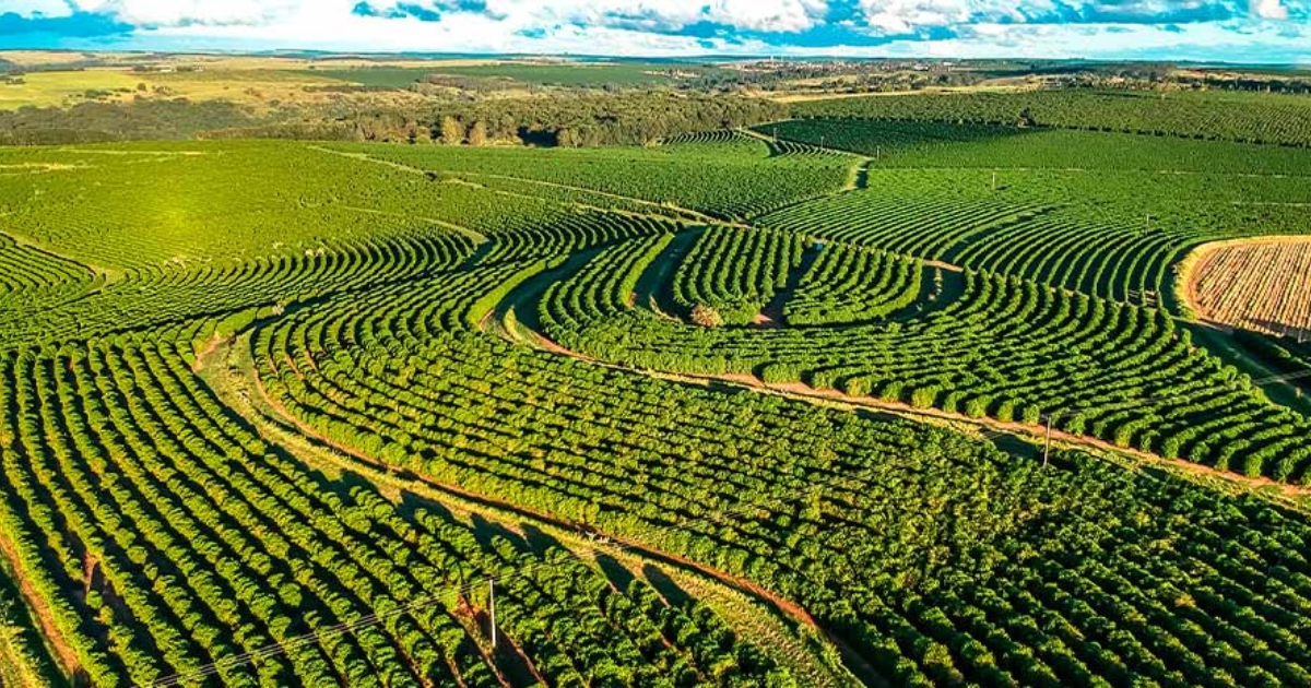 Mapa sustentabilidade no agro