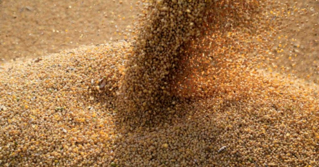 farelo de soja baixo carbono
