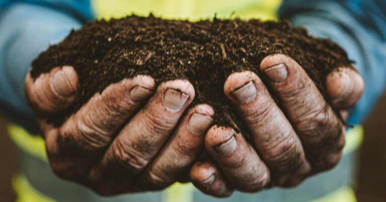 Bunge e Mantiqueira fecham acordo para fornecimento de farelo de soja rastreável e de baixo carbono