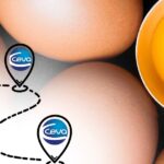 Ceva percorre 3,5 mil km e reforça liderança em soluções sanitárias para postura comercial