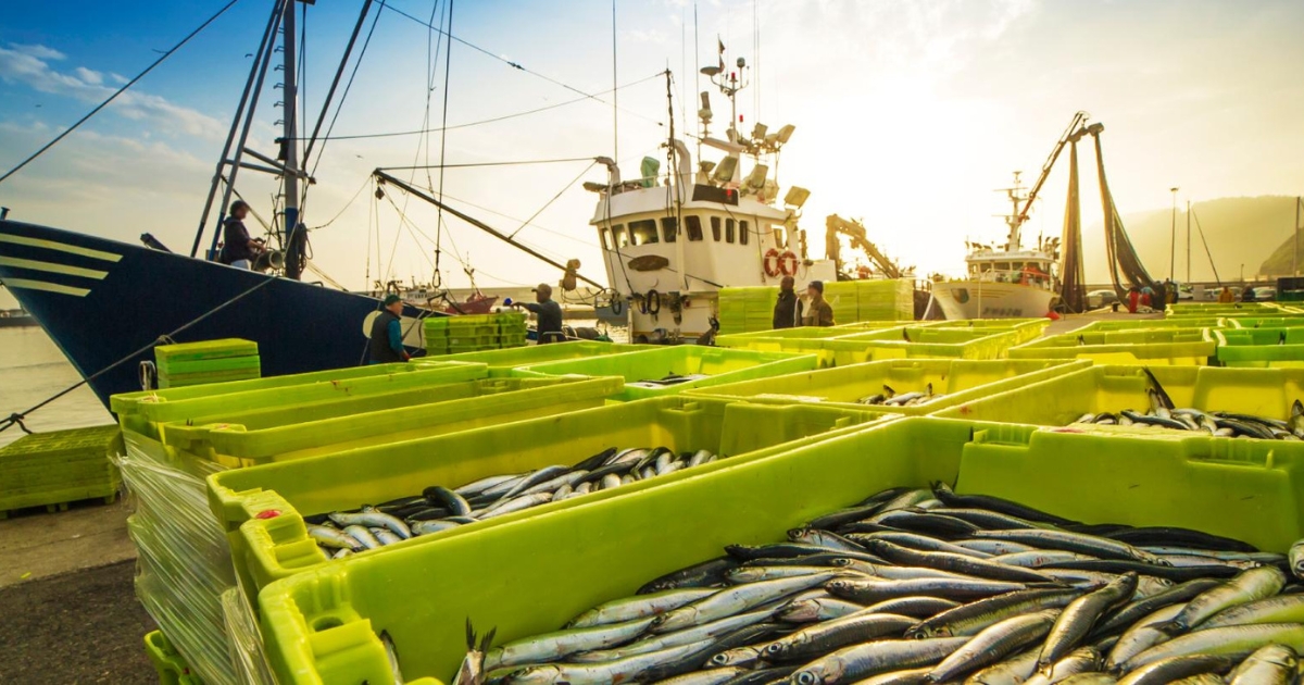 exportações de pescado