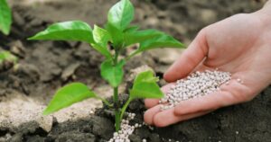 Cibra lança FIDC Fiagro de R$150 milhões para ampliar oferta de fertilizantes