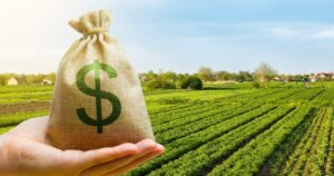O capital precisa aprender o tempo da agricultura para financiar o futuro do Brasil