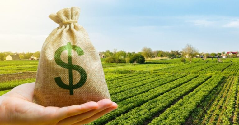 Capa Matéria Financiar o futuro do Brasil