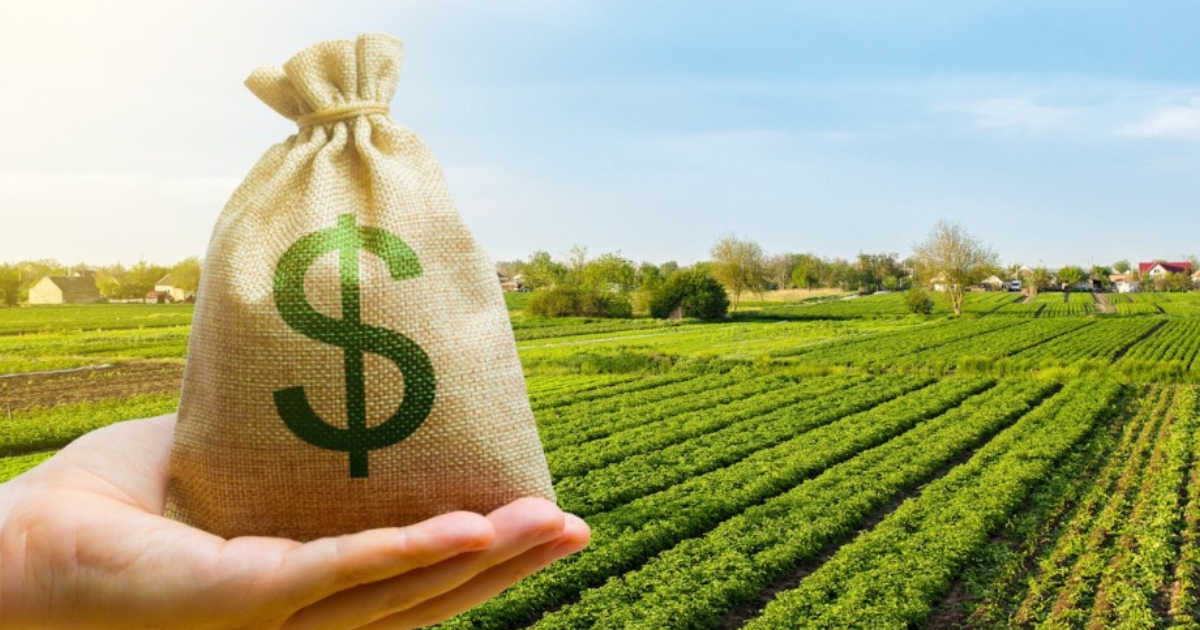 financiamento da agricultura de baixo carbono