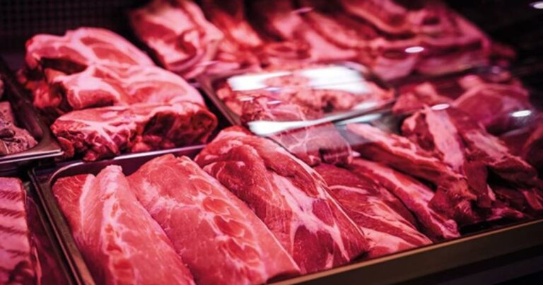Especialista alerta para desinformação sobre carne bovina e reforça papel nutricional do alimento