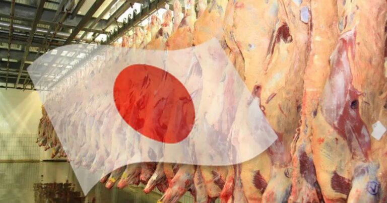 Japão programa auditoria sanitária e Brasil avança em negociação para exportar carne bovina