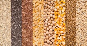 Alimentação animal cresce 2,2% no semestre e reforça papel estratégico da indústria