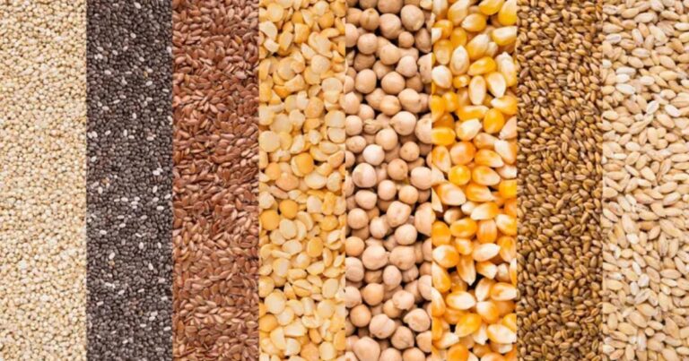 Alimentação animal cresce 2,2% no semestre e reforça papel estratégico da indústria