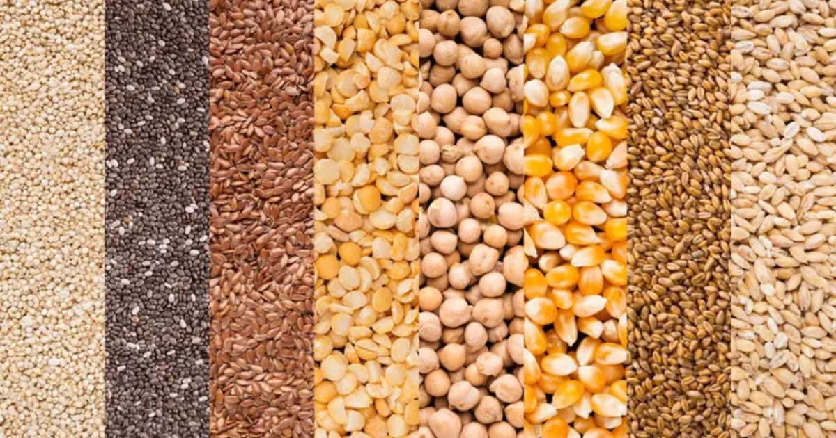 alimentação animal 2025
