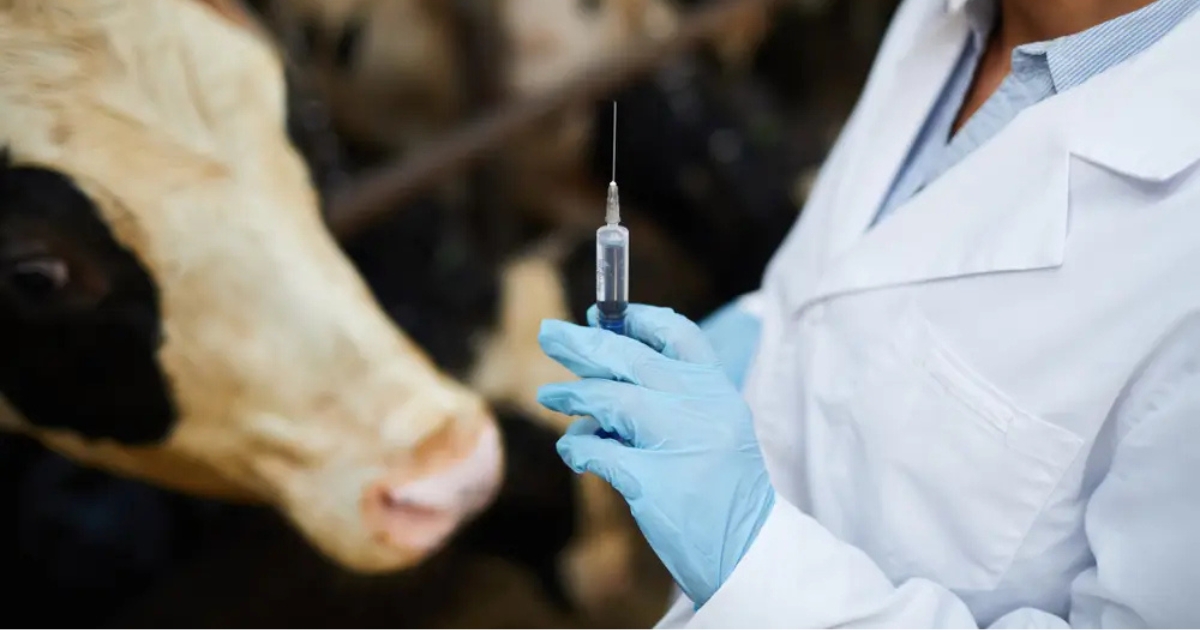 defesa agropecuária brasileira