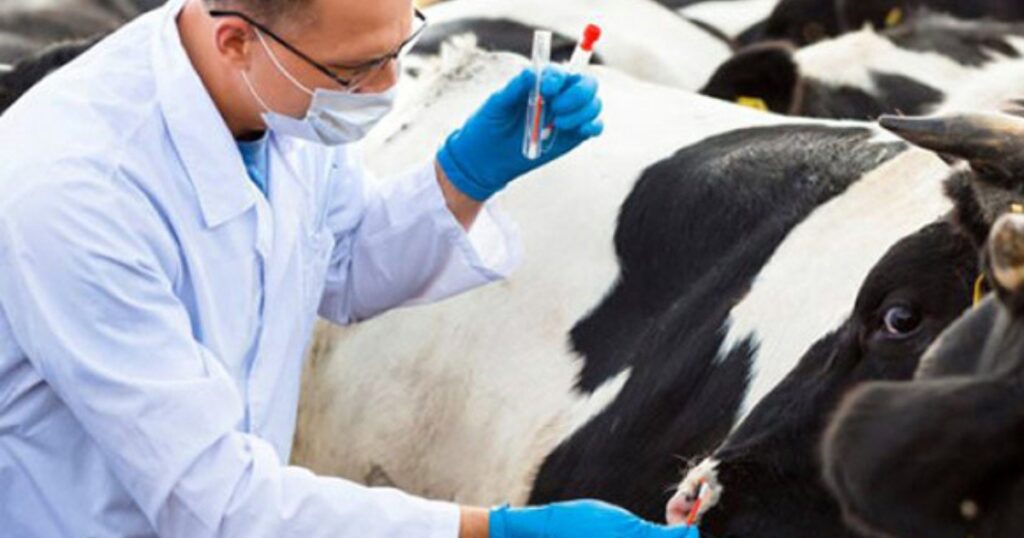 defesa agropecuária brasileira