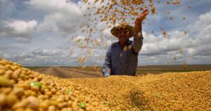 Negócios com soja se aquecem no mercado spot, aponta Cepea