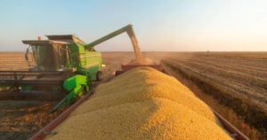 Soja: CBOT subiu em novembro, mas com sinais de enfraquecimento em dezembro